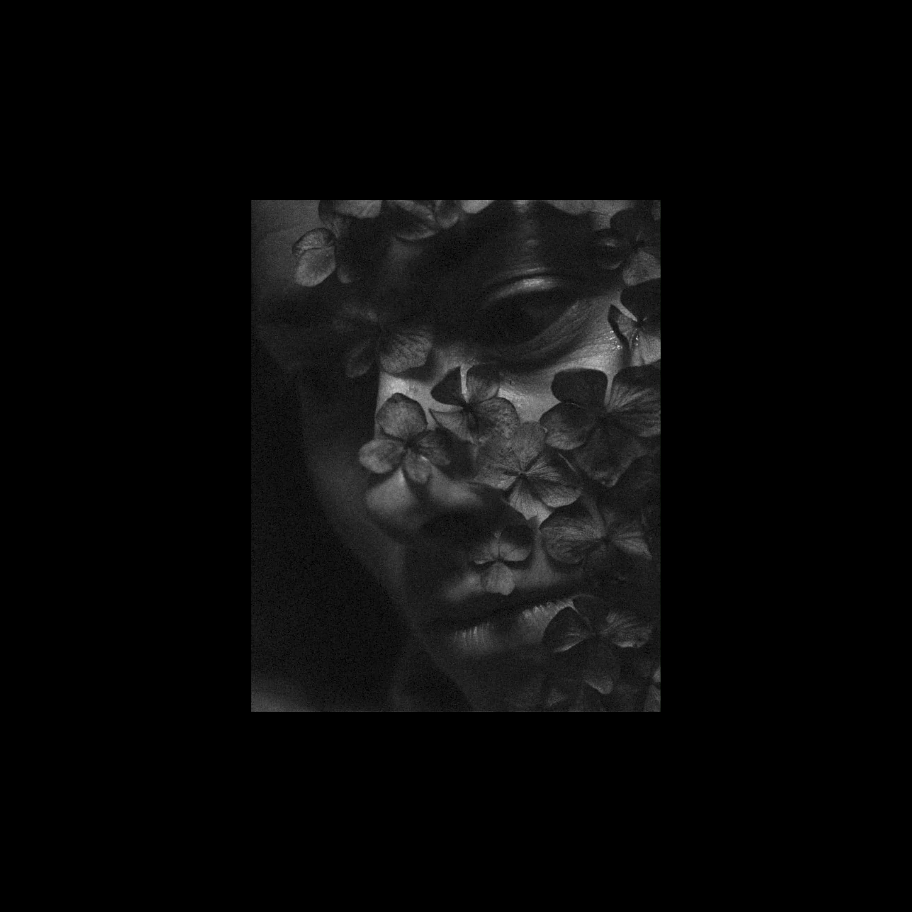 Anthony Hotbeats - stages.